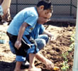 Click to read about School Gardens.