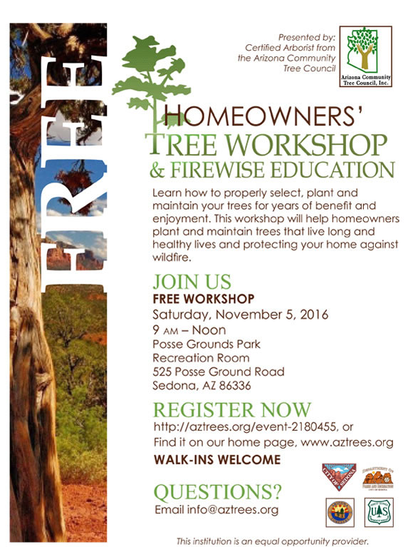 Tree Workshop
