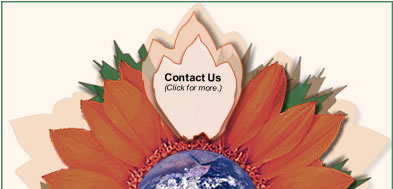 Click to go to Contact Us page.