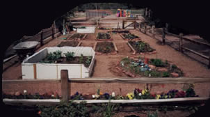 A Garden in process.