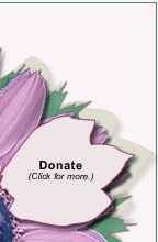 Click to go to Donate page.